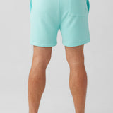 Mineral Wash Short